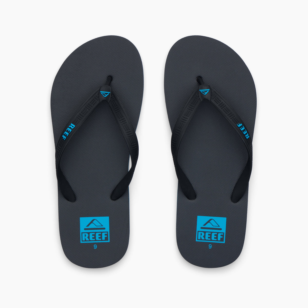 Reef Seaside - Hawaiian Blue - Top View