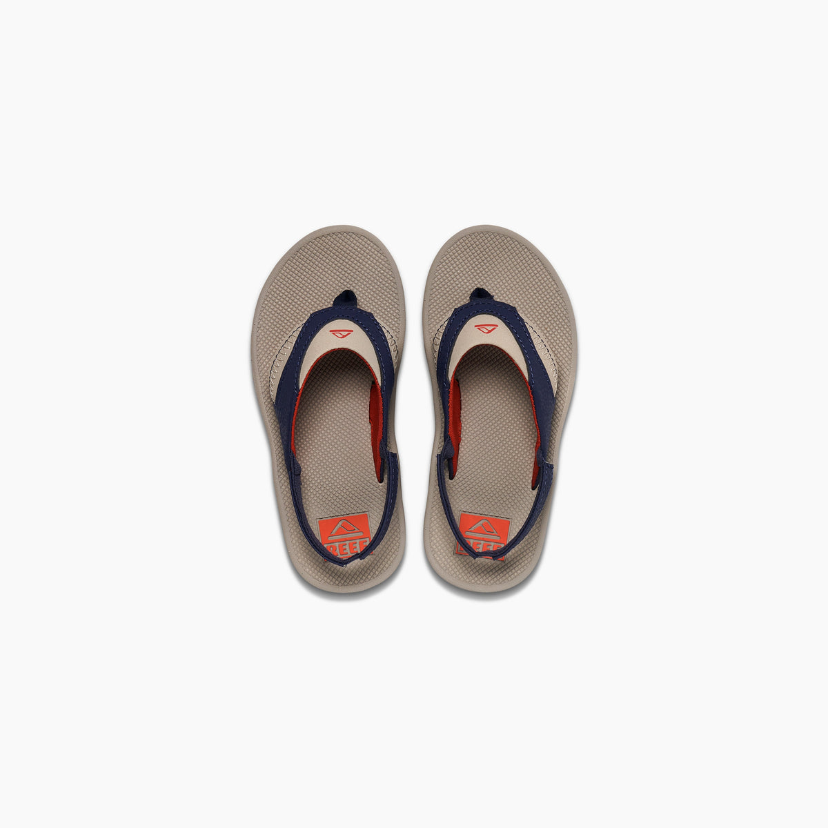 Little Fanning - Taupe/Navy - Top View
