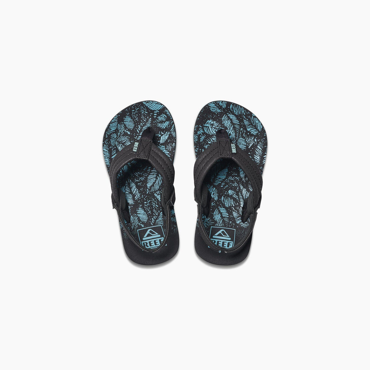 Little Ahi - Aquifer Palm - Top View