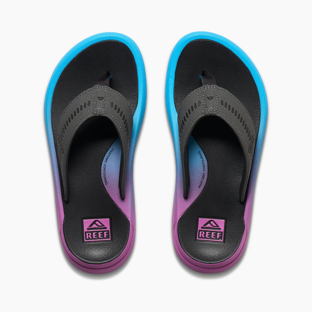 Cruiser - Grey/Purple/Blue - Top View