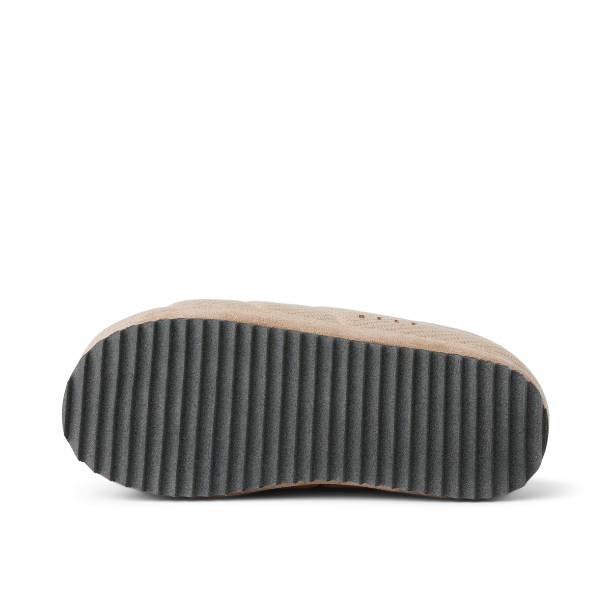 Hiatus - Fossil - Underside View