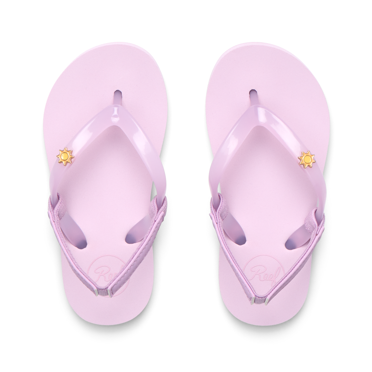 Little Charming - Lavender Orchid - Top View