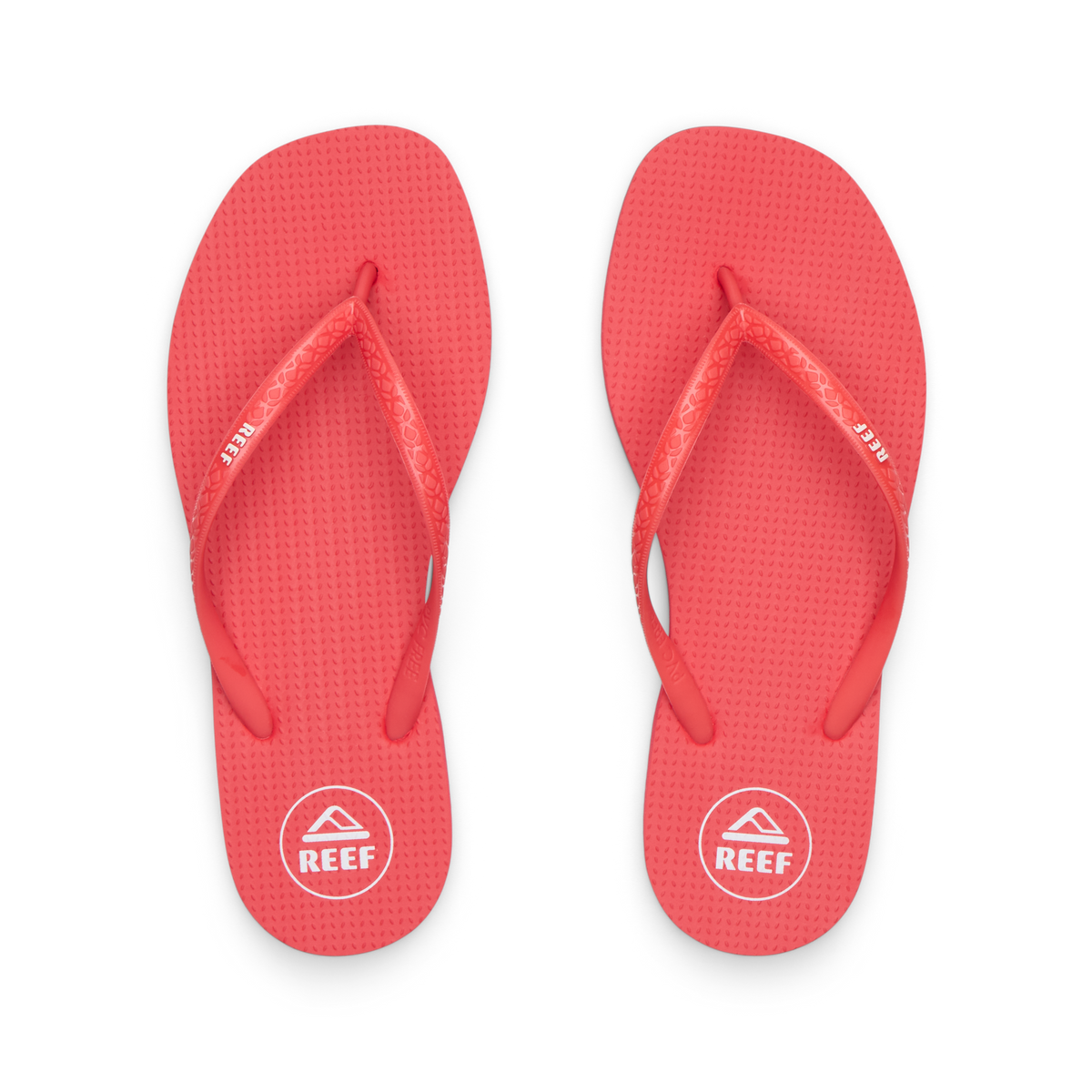 CK0313