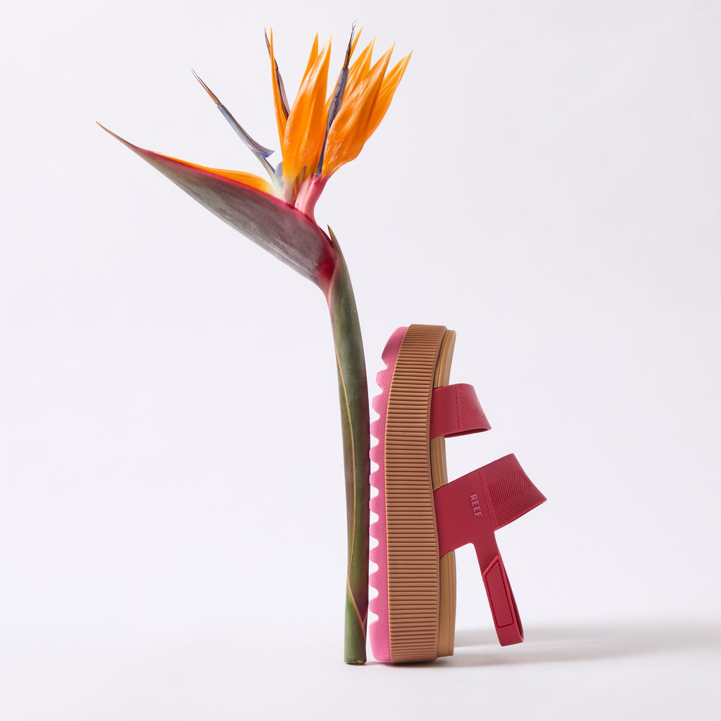 Water Vista Higher sandal facing right with red straps and thick sole, shown with a tropical bird of paradise flower.